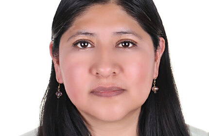 Anel Hortensia Gómez San Luis